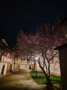 Ein Blick in eine abenlich beleuchtete Gasse eines Dorfes.